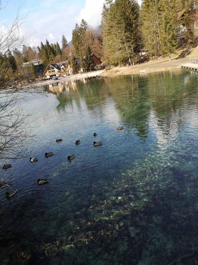 Apartma Viktorija Kranjska Gora Εξωτερικό φωτογραφία